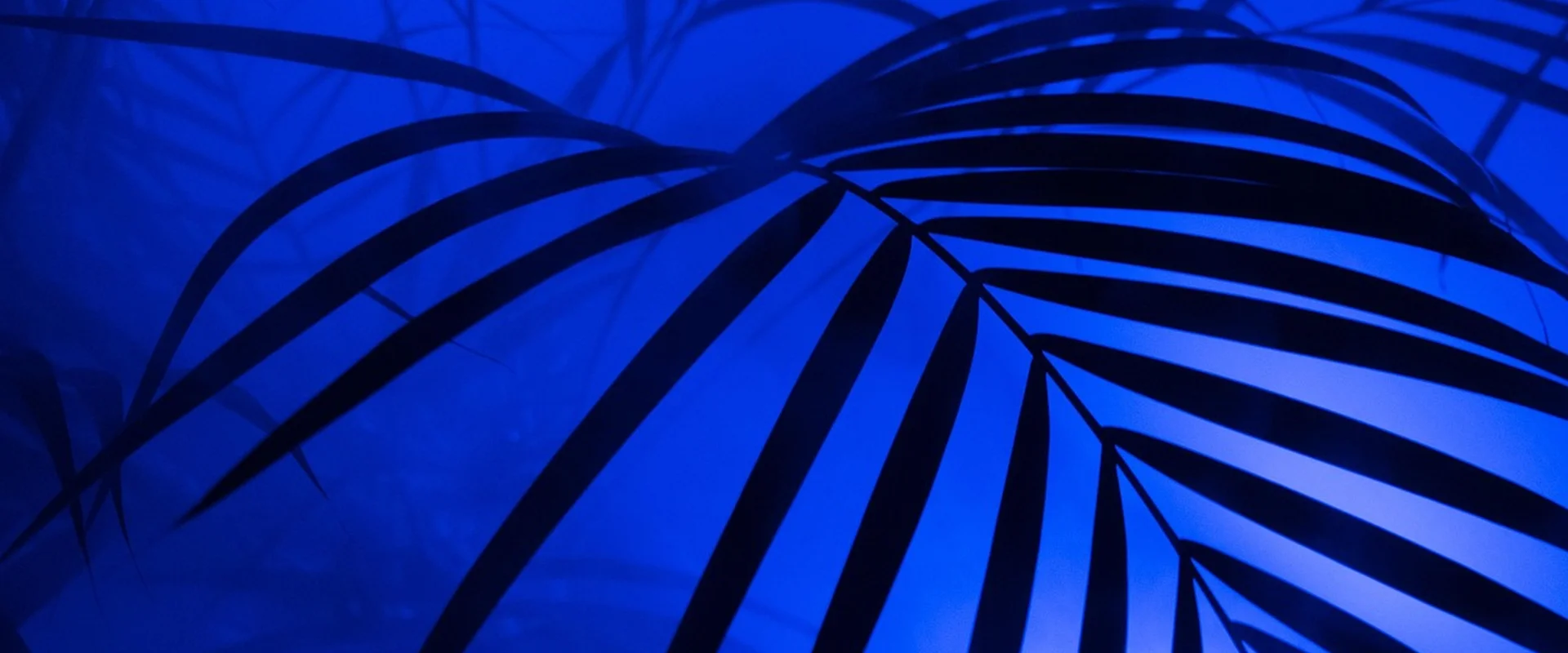 c7娱乐娱乐平台